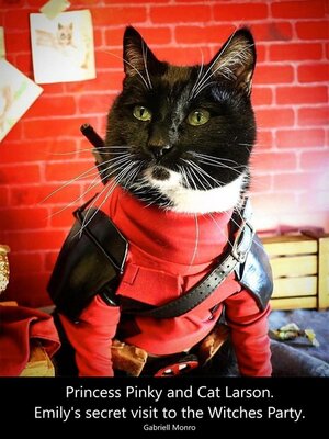 cover image of Princess Pinky and Cat Larson. Emily's secret visit to the Witches Party.